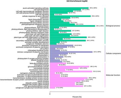 Transcriptome and metabolome profiling of the medicinal plant Veratrum mengtzeanum reveal key components of the alkaloid biosynthesis